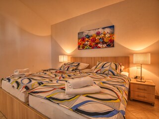 Villa Ravni Caratteristiche 22