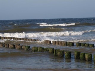 Appartamento per vacanze Domburg Ambiente 25