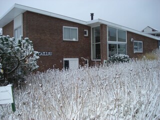 Appartamento per vacanze Bergen aan Zee Registrazione all'aperto 9