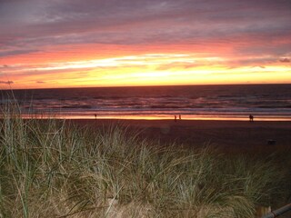 Appartamento per vacanze Bergen aan Zee Ambiente 25