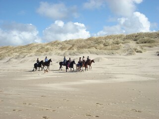 Appartamento per vacanze Bergen aan Zee Ambiente 27