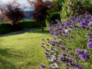Vakantiehuis Meschede Buitenaudio-opname 16