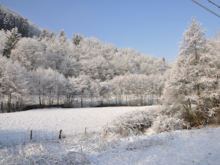 Umgebung im Winter