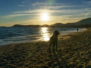 Villa La Croix-Valmer Ambiente 39