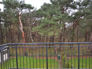 Casa per le vacanze Dierhagen Registrazione all'aperto 3