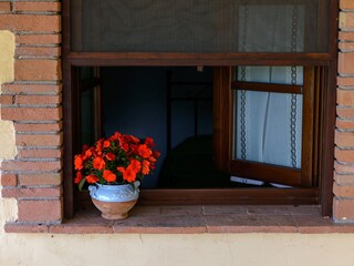 Casa per le vacanze Volterra Registrazione all'aperto 8