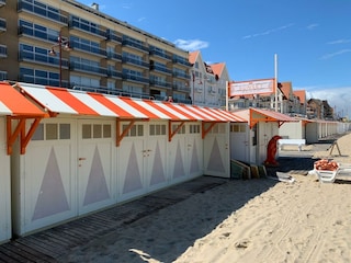 Eine Strandhütte mit Liegestühlen kann zugebucht werden