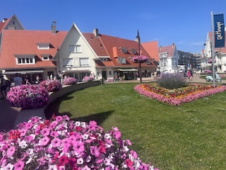 Blumenmeer vor der Promenade