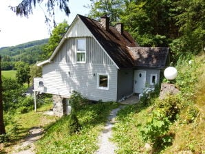 Ferienhaus Waldhaus-Elleringhausen - Olsberg - image1