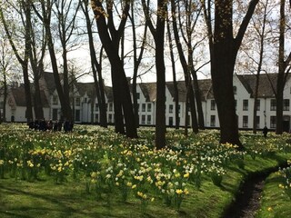Casa per le vacanze Breskens Ambiente 22