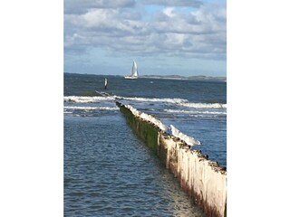 Casa per le vacanze Breskens Ambiente 18