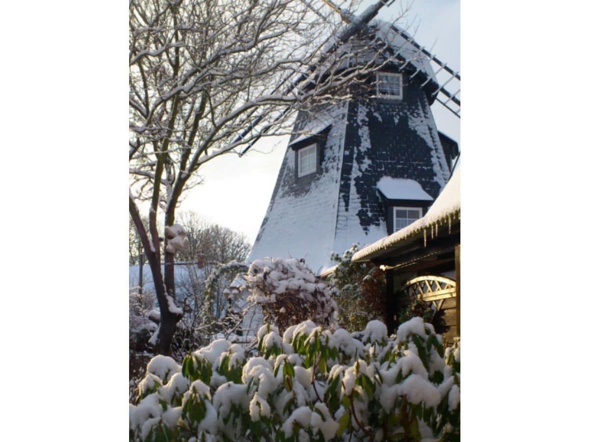 Mühle im Winter