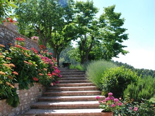 Appartamento per vacanze Assisi Registrazione all'aperto 9