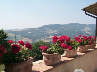 Appartamento per vacanze Assisi Registrazione all'aperto 2