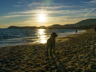 Villa La Croix-Valmer Documento 45