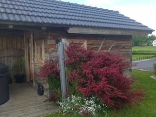 Chalet Schardenberg Outdoor Recording 13