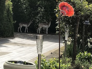 Blick von der Terrasse