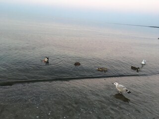 Appartamento per vacanze Timmendorfer Strand Registrazione all'aperto 5