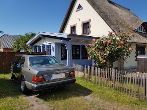 Ferienwohnung "SeeTiger"