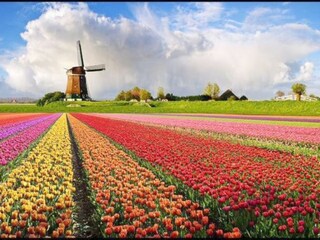 Appartamento per vacanze Alkmaar Ambiente 16