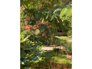 Casa per le vacanze Bergen (Holland) Registrazione all'aperto 10