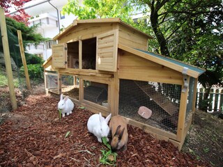 Appartamento per vacanze Schenna Registrazione all'aperto 12