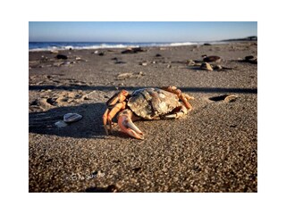 Casa per le vacanze Callantsoog Ambiente 29