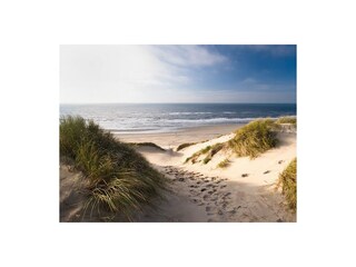 Casa per le vacanze Callantsoog Ambiente 26