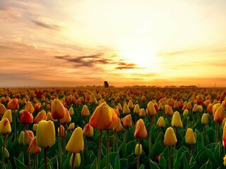 Casa per le vacanze Callantsoog Ambiente 35