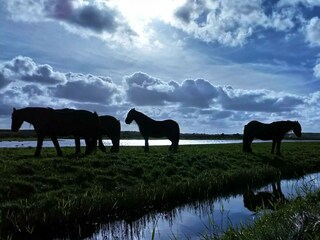 Casa per le vacanze Callantsoog Ambiente 40