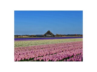 Casa per le vacanze Callantsoog Ambiente 38