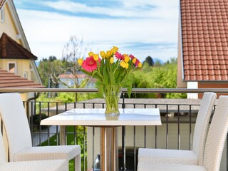 Vakantieappartement Lindau am Bodensee Buitenaudio-opname 4