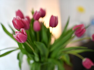 Apartamento de vacaciones Lindau am Bodensee Características 13