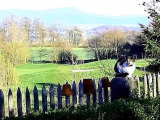 Blick auf Hohen Bogen und Arber