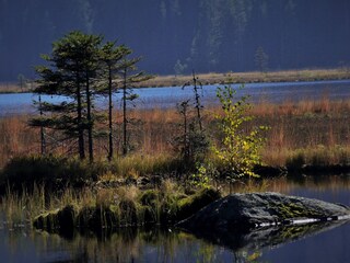 Kleiner Arbersee