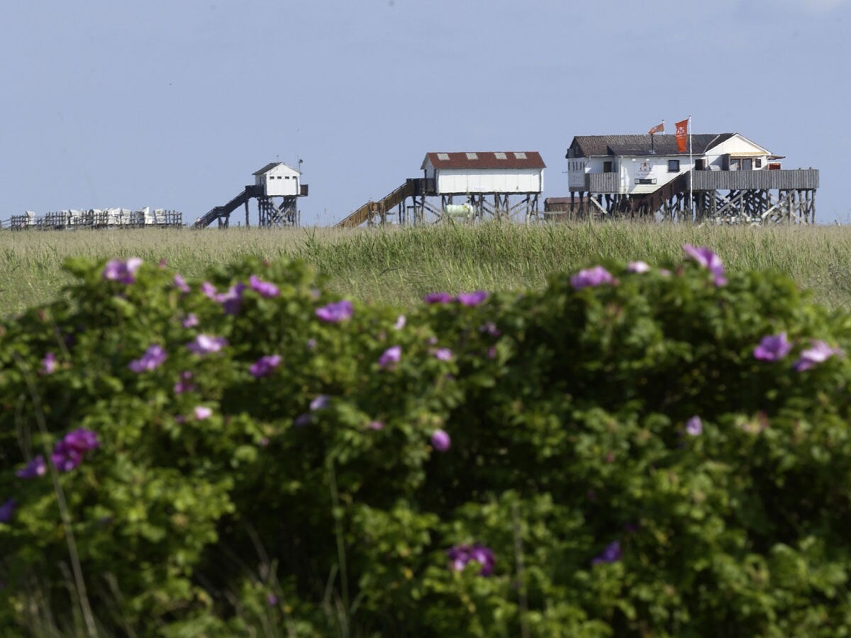 Blick zum Strand