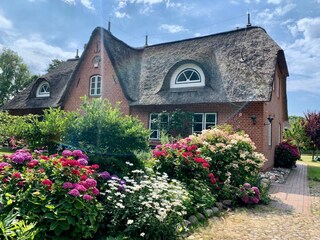 Ferienhaus St. Peter-Ording Außenaufnahme 2