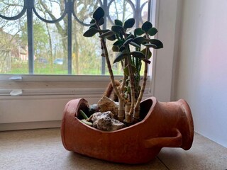 Appartamento per vacanze St. Peter-Ording Caratteristiche 15