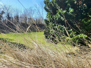 Apartamento de vacaciones St. Peter-Ording Grabación al aire libre 20