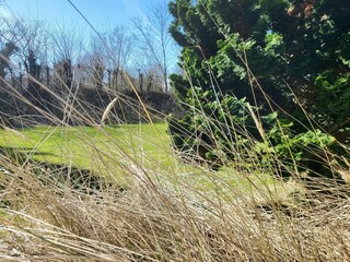 Ferienwohnung St. Peter-Ording Außenaufnahme 20