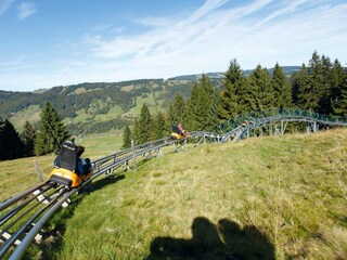 Alpsee Coaster, Kletterwald bei Immenstadt