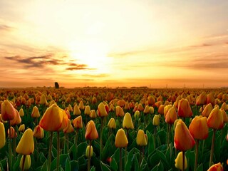 Casa per le vacanze Callantsoog Ambiente 34