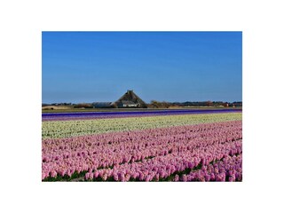 Vakantiehuis Callantsoog Omgeving 36