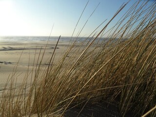 Vakantiehuis Callantsoog Omgeving 25