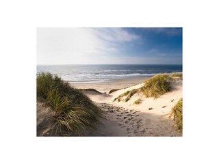 Vakantiehuis Callantsoog Omgeving 24