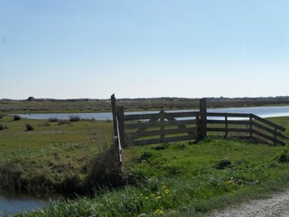 Vakantiehuis Callantsoog Omgeving 37