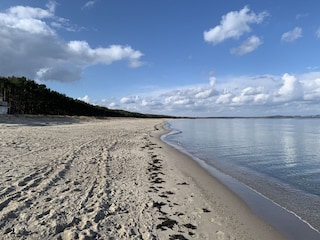 Ostsee und Sandstrand, so weit das Auge reicht