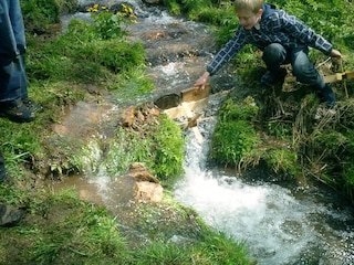 Experimente am Bach