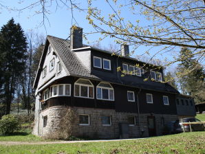 Ferienhaus Grandvilla - Landkreis Waldeck-Frankenberg (Sauerland) - image1