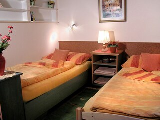 Vakantiehuis Mittersill Kenmerken 12